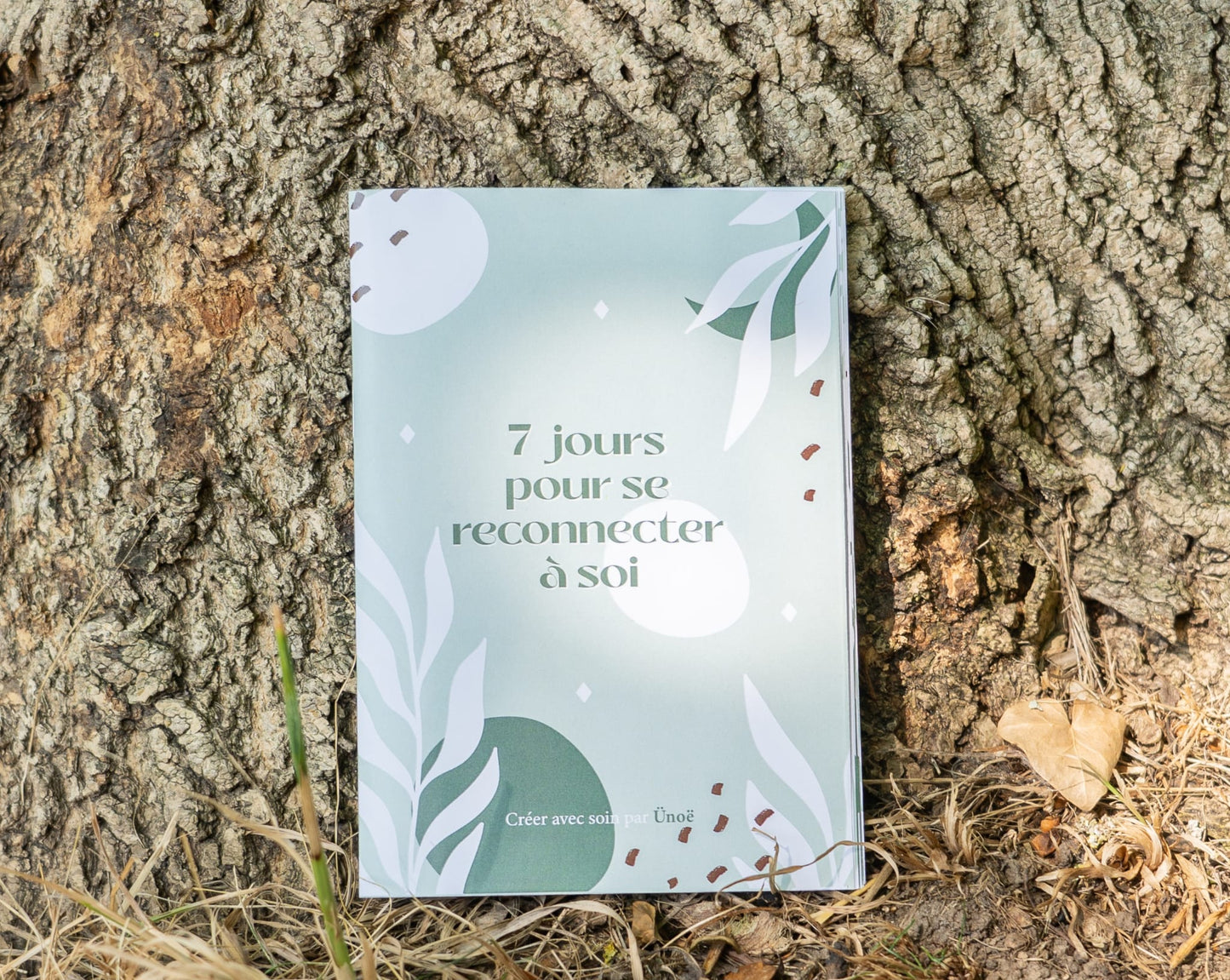 Box- le rituel complet