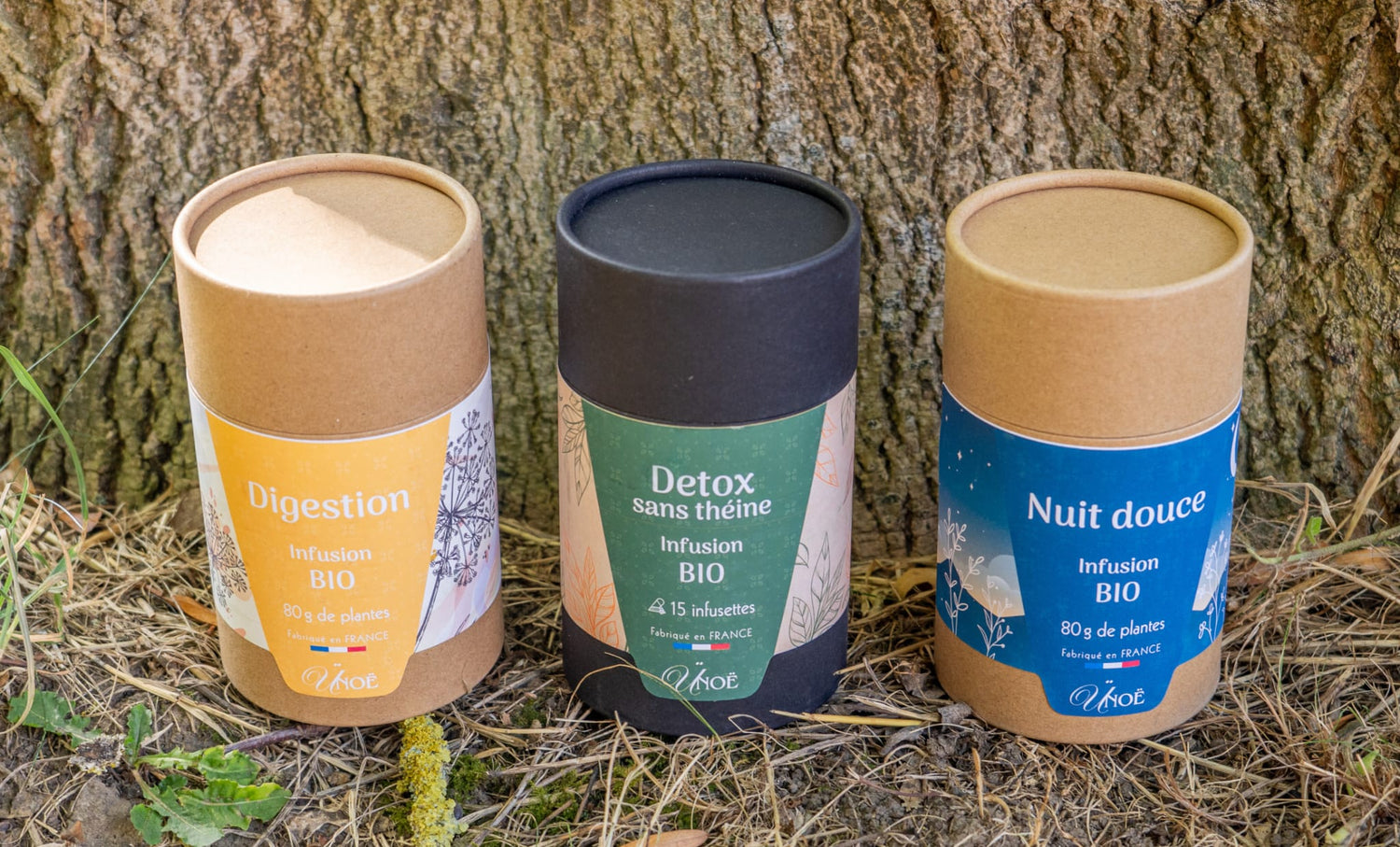 Thés & Infusions