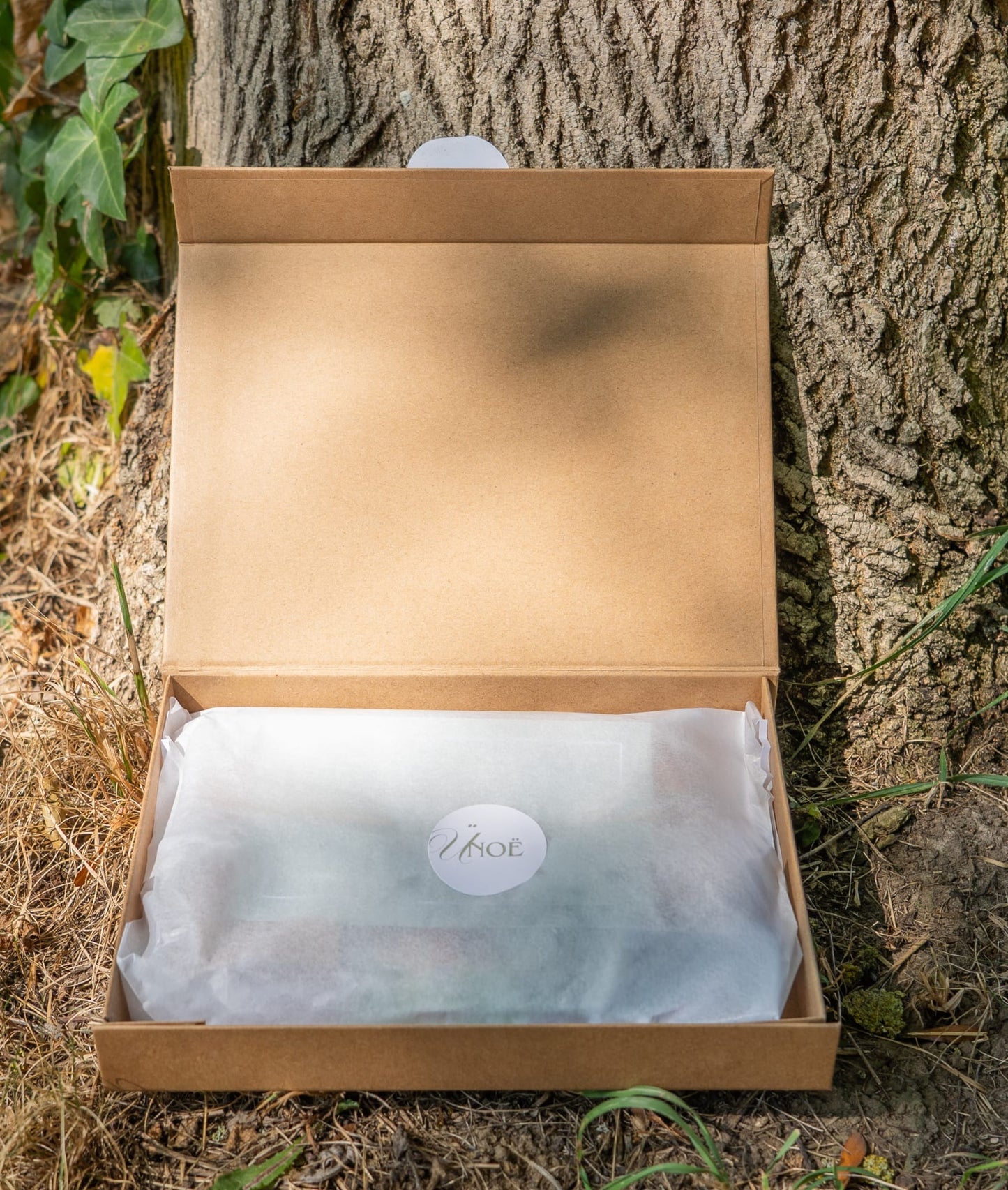 Box - L'essentiel du bien-être